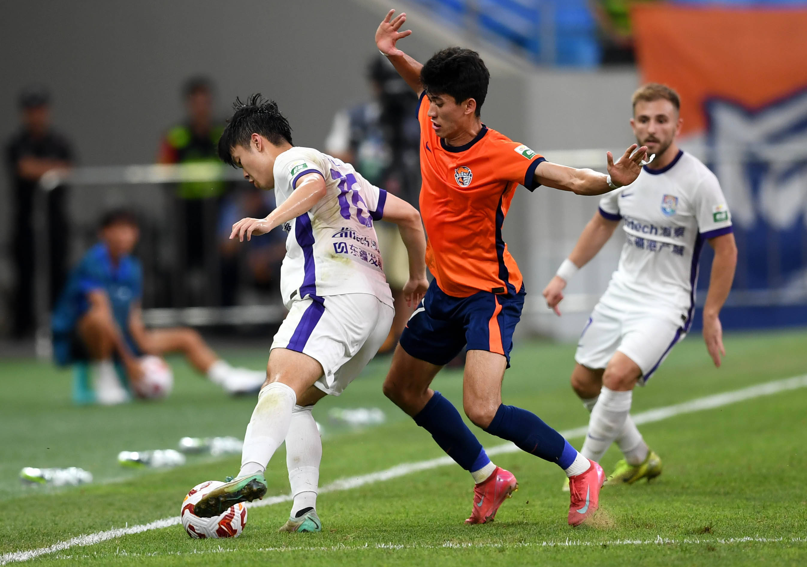 鹿与前排不 鹿与前排不